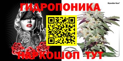ГАЛЛЮЦИНОГЕННЫЕ ГРИБЫ Ижевск