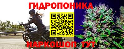 ГАЛЛЮЦИНОГЕННЫЕ ГРИБЫ Ижевск